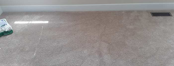 clean carpet after photo